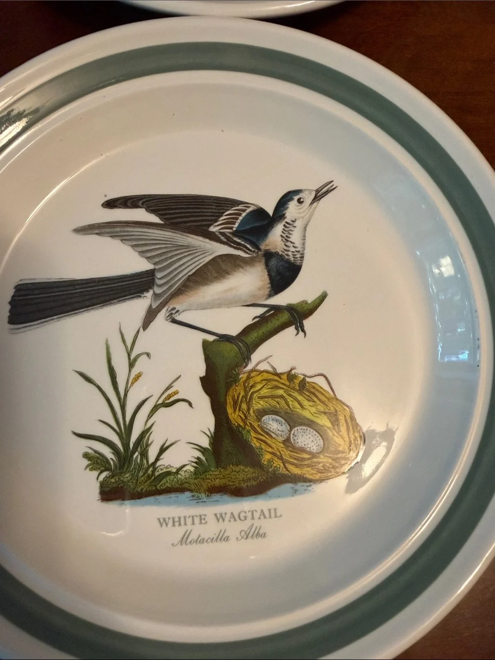 Portmeirion Birds of Britain Salad Plates in Green and White - Set of 6